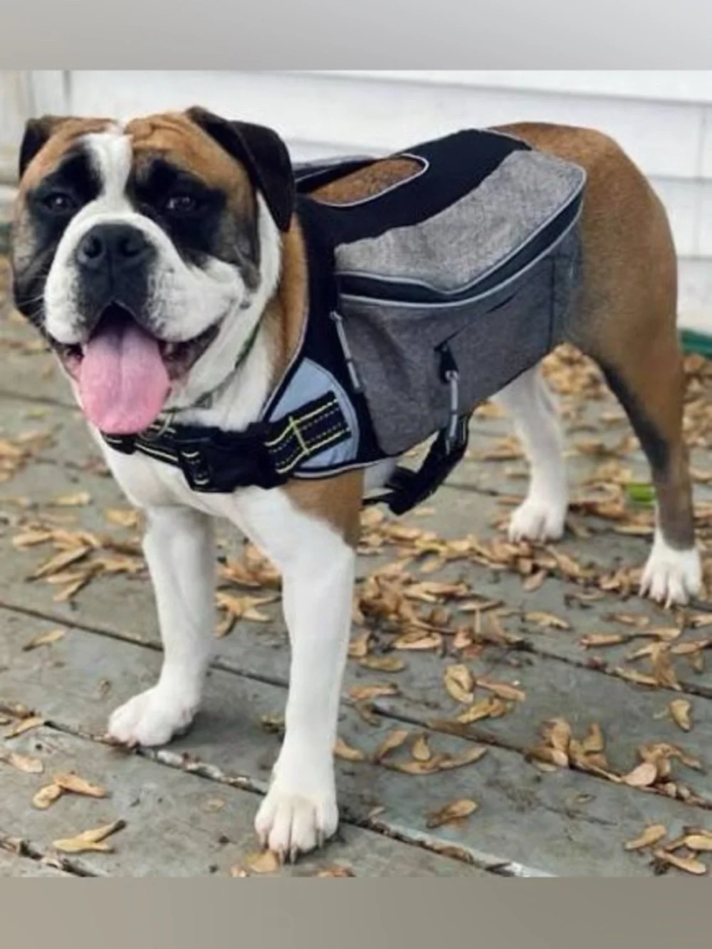 NEW Arcadia Trail Dog Harness Reflective Backpack Mesh lightweight grey S M pet